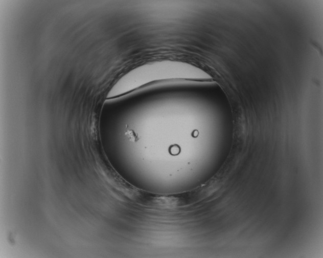 X0000103490328200809191928