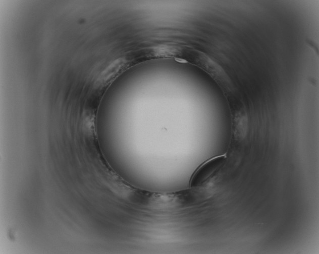 X0000103490329200809191928