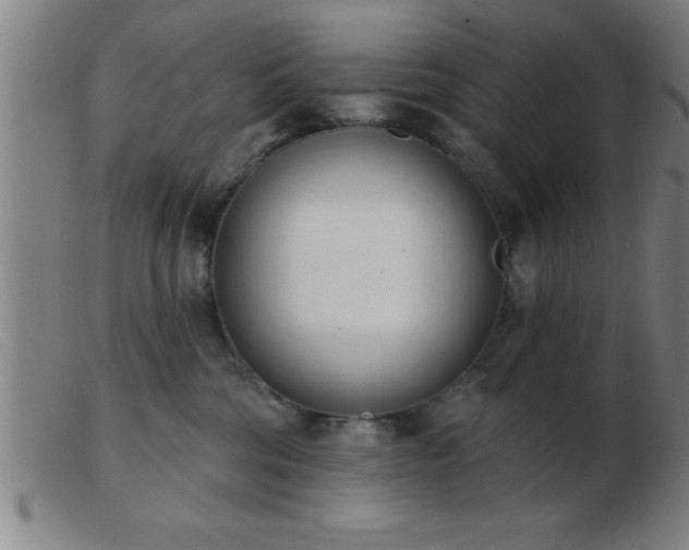 X0000103490330200809191928