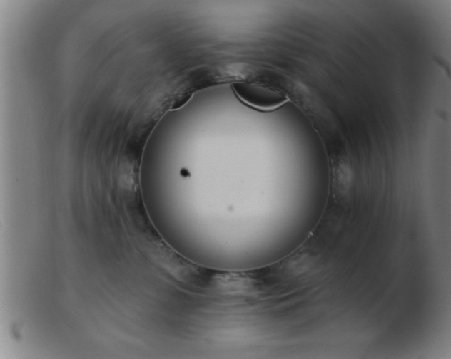 X0000103490331200809191928