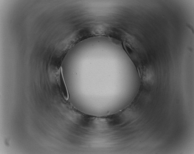 X0000103490332200809191928