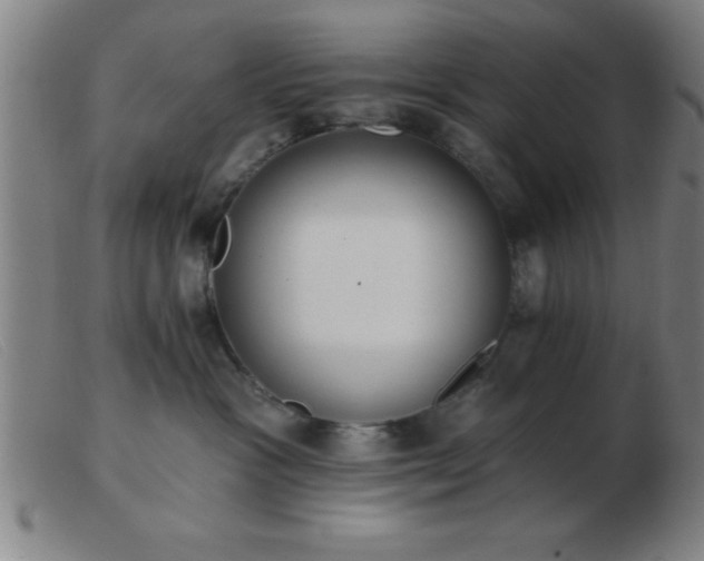 X0000103490333200809191928