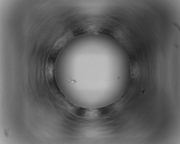 X0000103490334200809191928