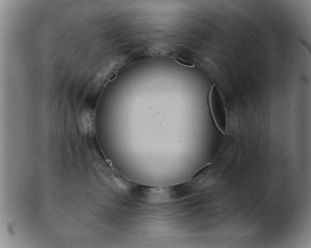 X0000103490335200809191928