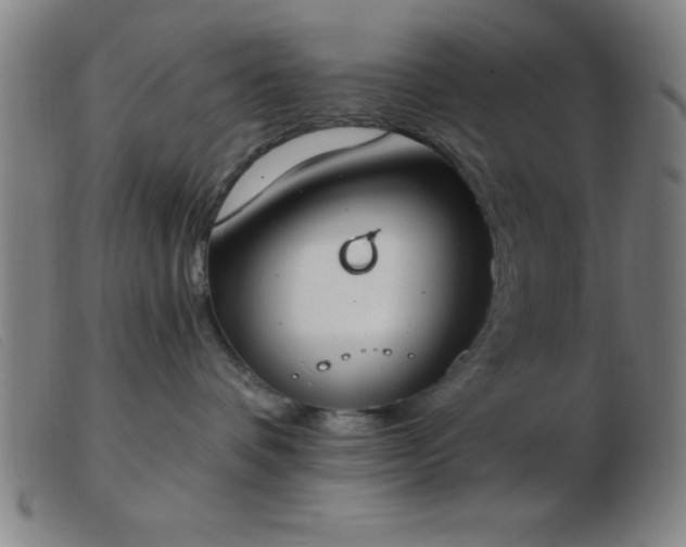 X0000103490336200809191928