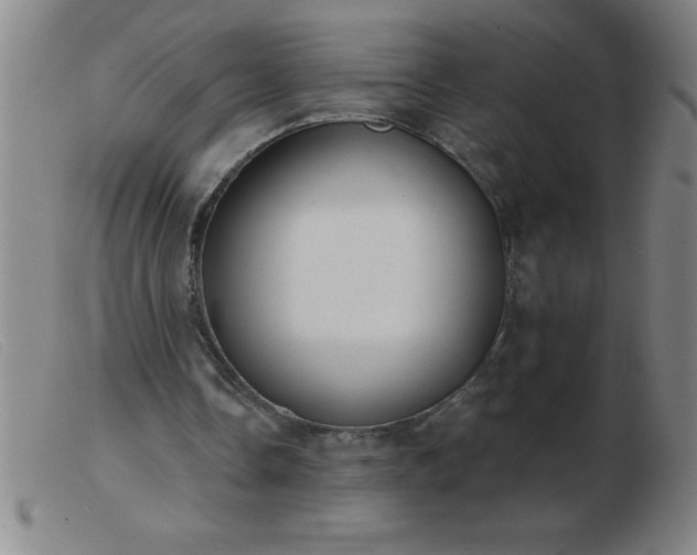 X0000103490338200809191927