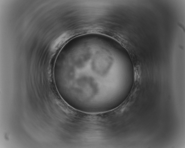 X0000103490339200809191927