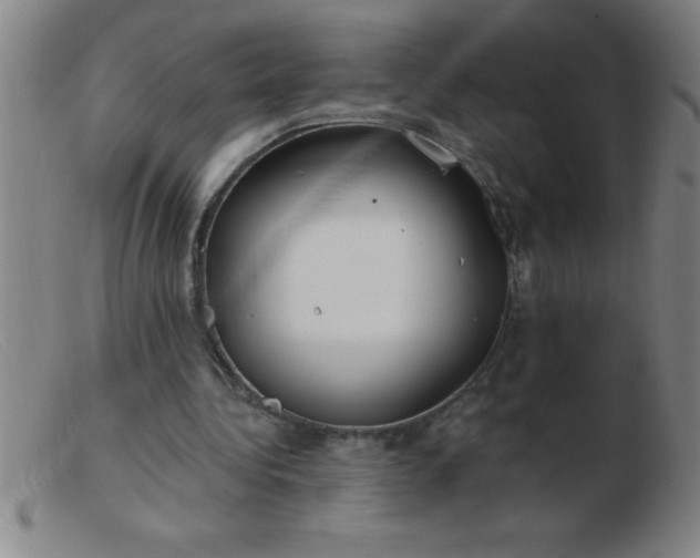 X0000103490340200809191927