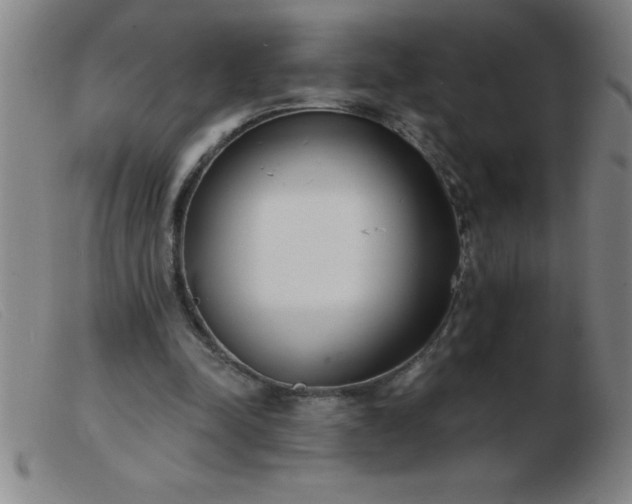 X0000103490342200809191927