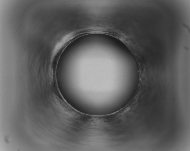 X0000103490343200809191927