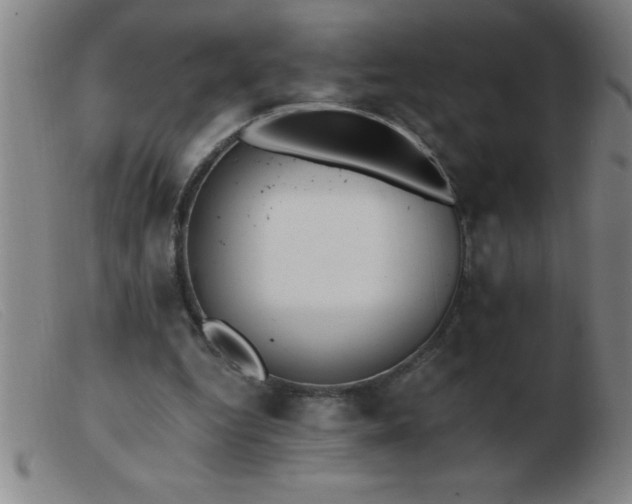 X0000103490344200809191927