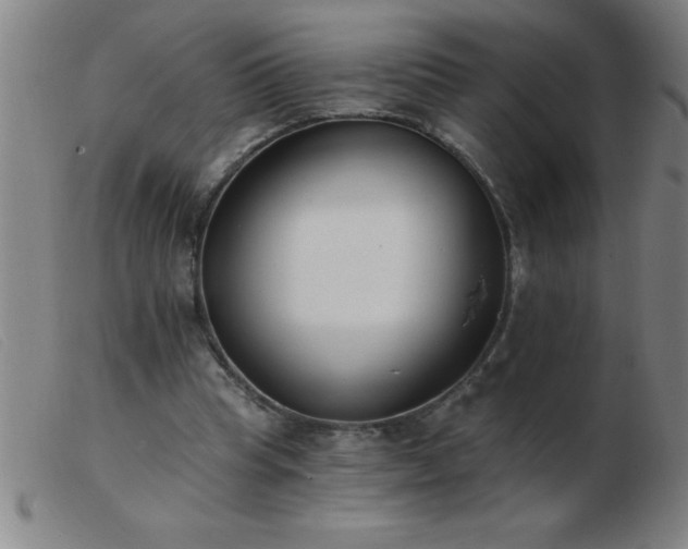 X0000103490345200809191927