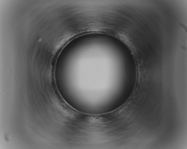 X0000103490346200809191927