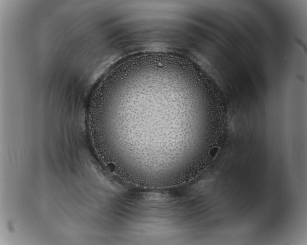 X0000103490347200809191927