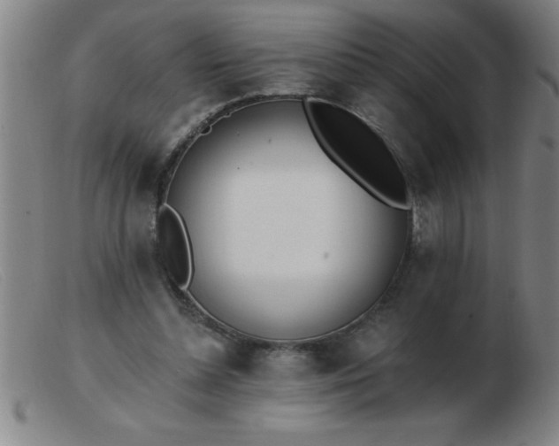 X0000103490348200809191927