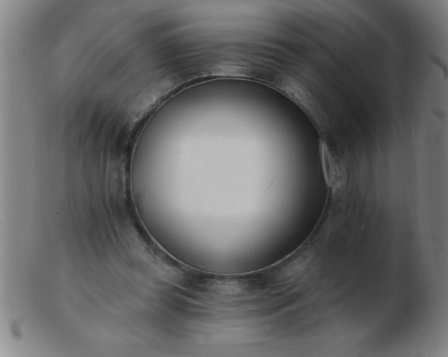 X0000103490349200809191927