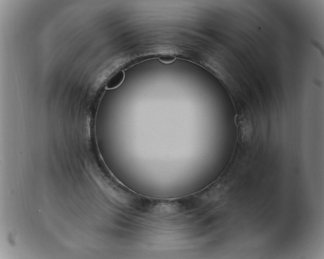 X0000103490350200809191927