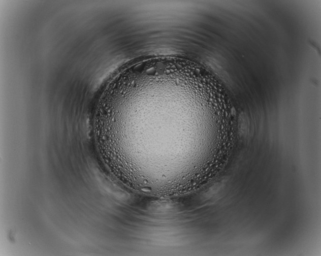 X0000103490351200809191927