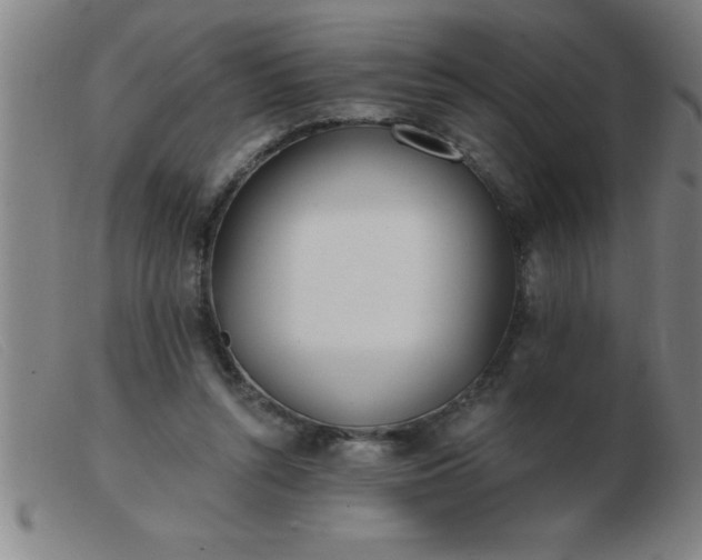 X0000103490352200809191927