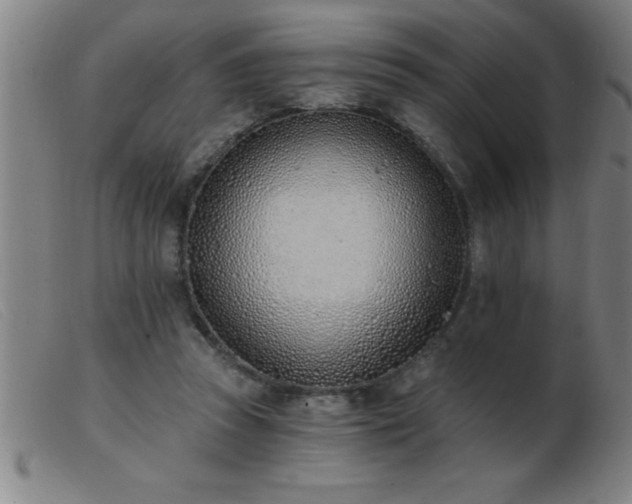 X0000103490353200809191927