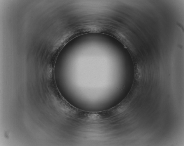 X0000103490355200809191927