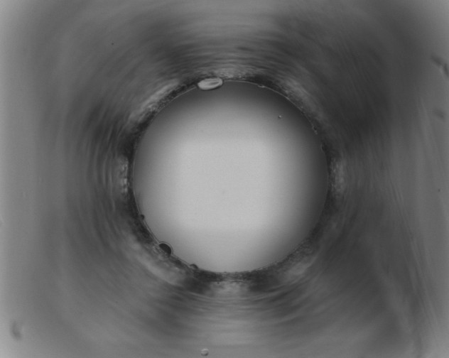 X0000103490356200809191927