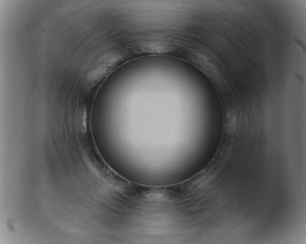 X0000103490358200809191927