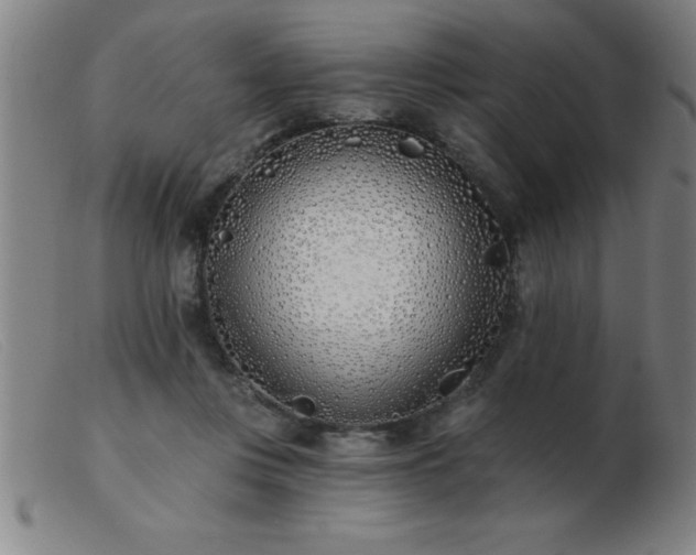 X0000103490359200809191927