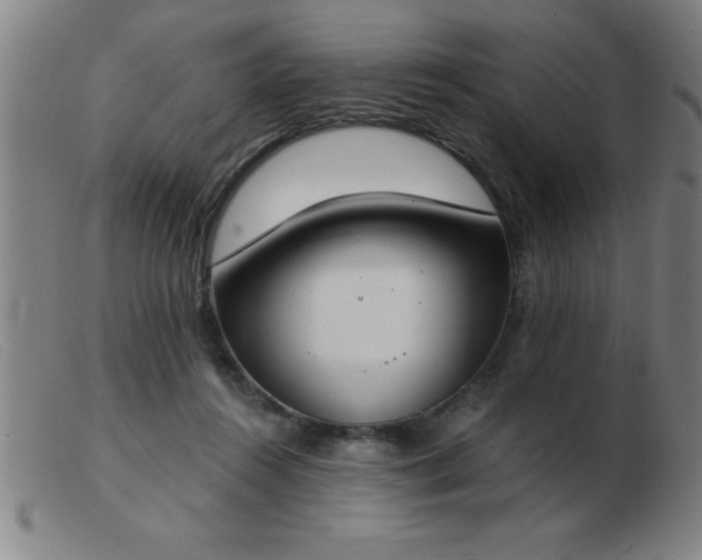 X0000103490360200809191927