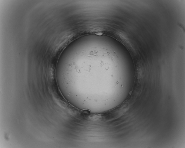 X0000103490362200809191927