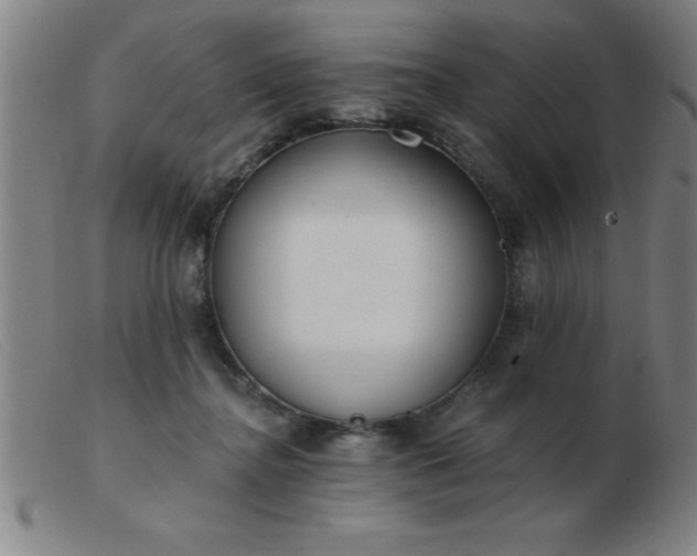 X0000103490364200809191928