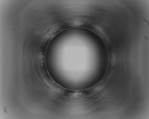 X0000103490366200809191928