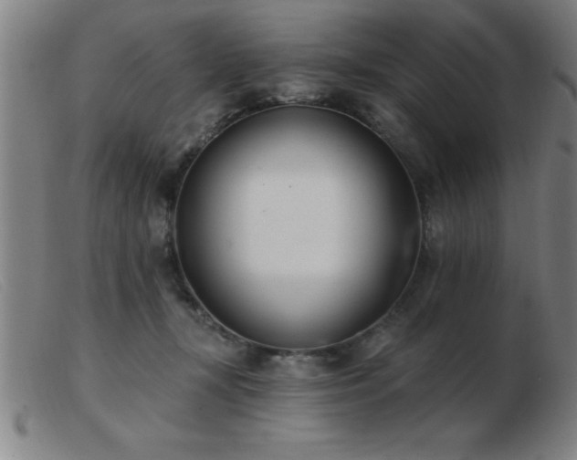 X0000103490367200809191928