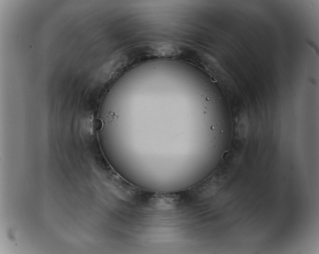 X0000103490368200809191928