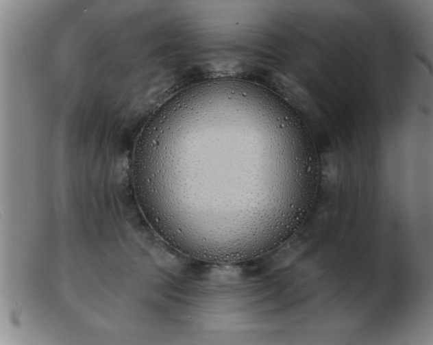 X0000103490369200809191928