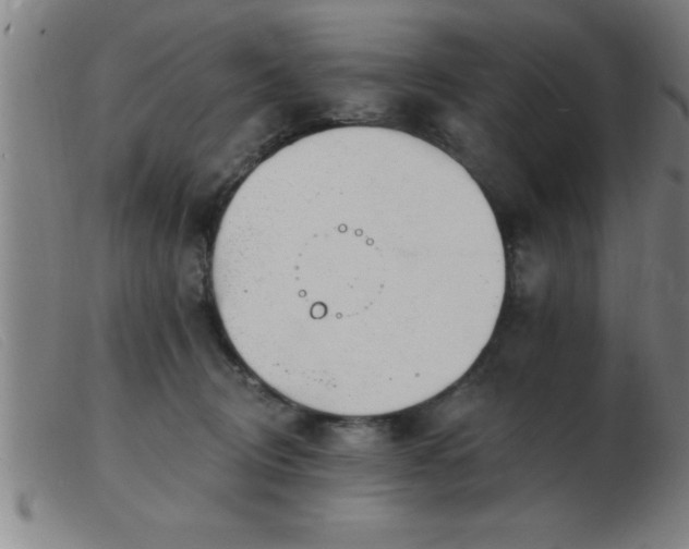 X0000103490370200809191928