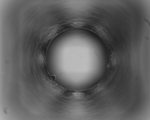 X0000103490371200809191928