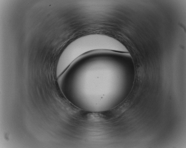 X0000103490372200809191928