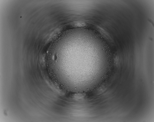 X0000103490373200809191928