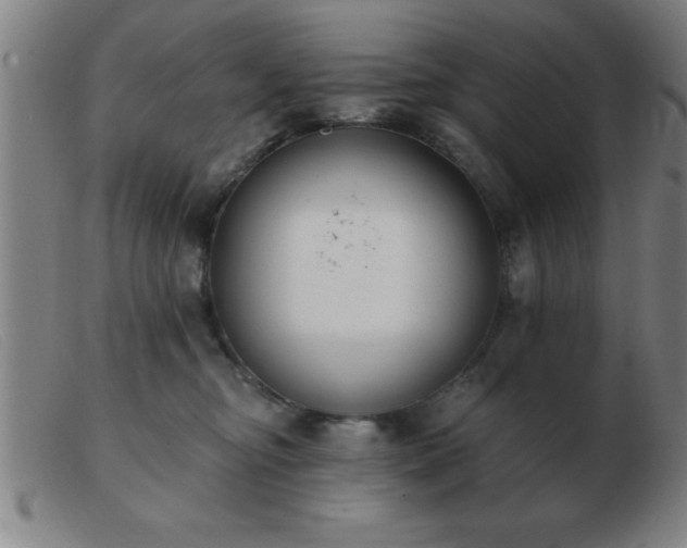 X0000103490374200809191928