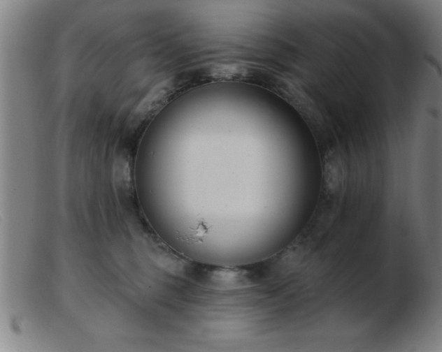 X0000103490375200809191928