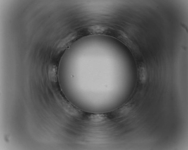 X0000103490378200809191928