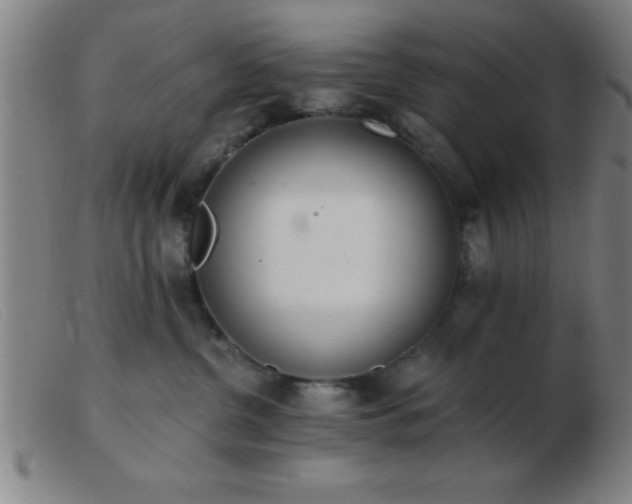 X0000103490380200809191928