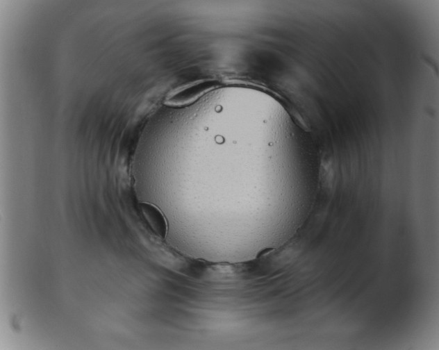 X0000103490381200809191928