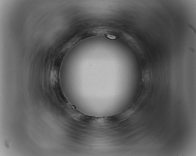 X0000103490382200809191928