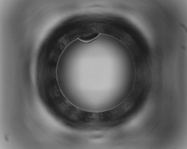 X0000103490383200809191928