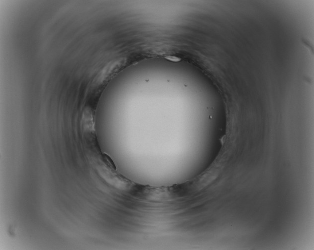 X0000103490384200809191928