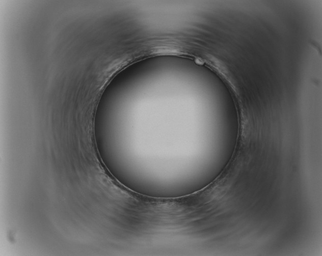 X0000103490385200809191927