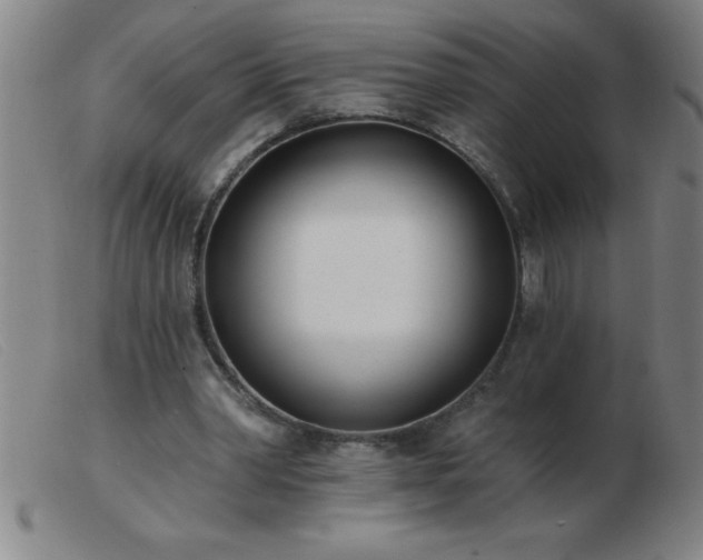 X0000103490390200809191927