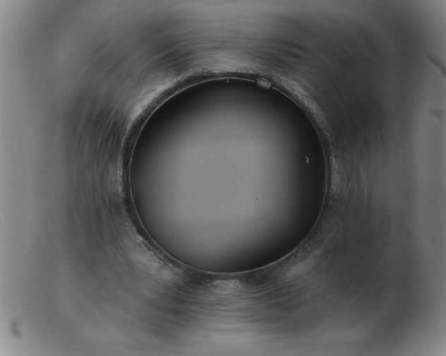 X0000103490391200809191927